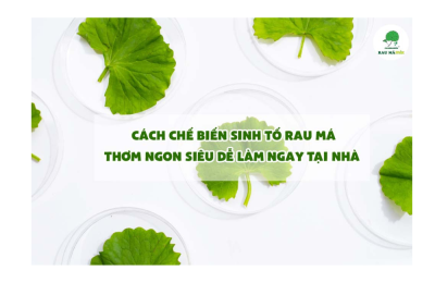 Rau má - vừa thơm ngon vừa rẻ